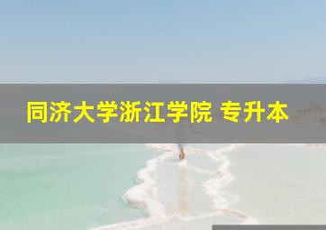 同济大学浙江学院 专升本